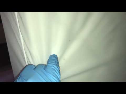 How Mattress Encasements Work Against Bed Bugs