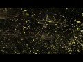 Wiz Khalifa - Raw - [MusicVideo]