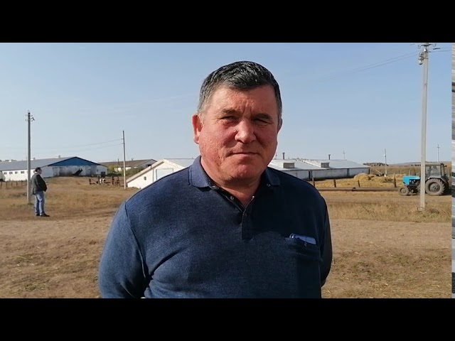 Азнакай районы терлекчеләре кышлатуга әзерләнә