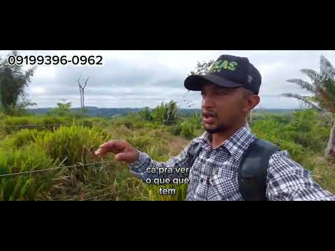 5 ACRES FOR 200 THOUSAND IN ANAPU, PARÁ
