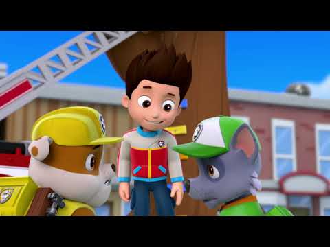 Rocky Faces His Fear - Paw Patrol