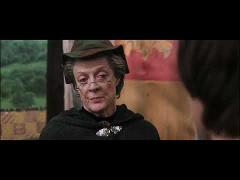 Hermione gets petrified - Harry Potter and the Chamber of Secrets