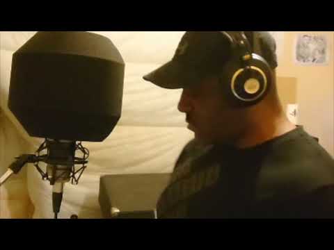 DJ Regal RIP Groove Fixate Remix Dubplate Top Cat Live Vocal