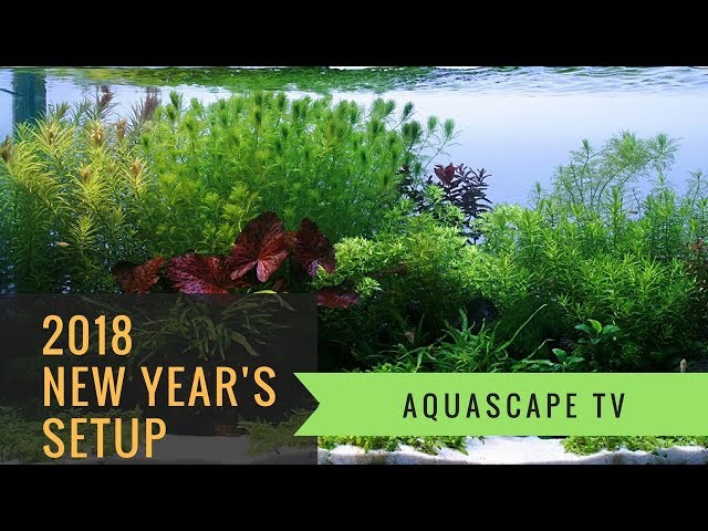 2018 New Year's Planted Tank Setup | Aquascape TV