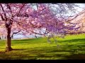 Barney Spring Original Mix