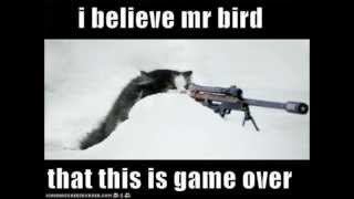 Laidback -  Mr Bird Vs. Wild Palms