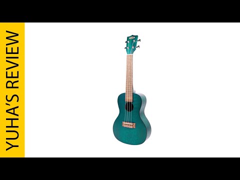 Best Ukuleles for Beginners 2025 - Top 5