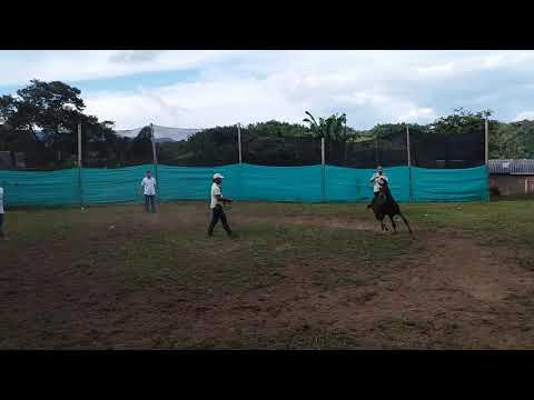 Hijo de centurion de la gran dinatia