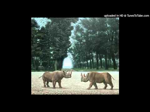 Atlas Sound - Quick Canal (ft. Laetitia Sadier)