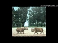 Atlas Sound - Quick Canal (ft. Laetitia Sadier)
