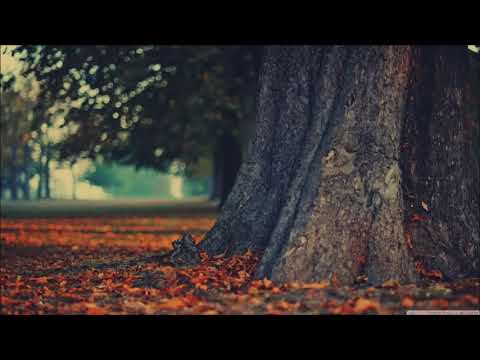 Corul mixt Betel Arad - El e rege si domn