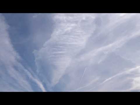 Opus 1 (2014) - Zao Van den Brempt