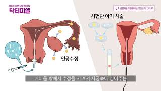 이미지가 없습니다.