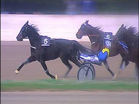 Trotto 07/12/2019 - 5ª corsa - G.P. Royal Mares
