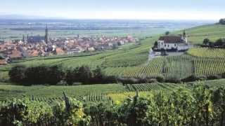 preview picture of video 'Film Domaine MERSIOL - Vin d'Alsace'