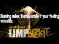 Limp Bizkit - Gold Cobra (with lyrics) 