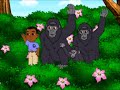Juma And The Gorillas Are On The Top Of The Mountain
