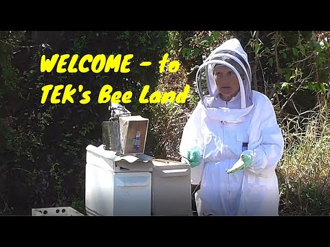 WELCOME - to  TEK's Bee Land   #SeriousHobbyistBeek