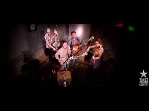 Driftwood - Company Store [Live at WAMU's Bluegrass Country]