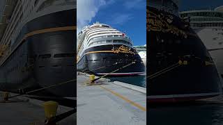 Sea Giants docks along side Utopia of the Seas | Royal Caribbean's Utopia of the Seas Ultimate Guide