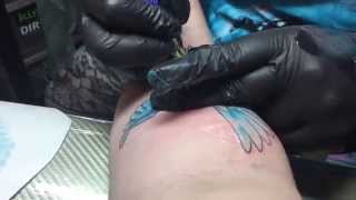 Bluebird Tattoo By Kim Taylor Of The Body Gallery 2