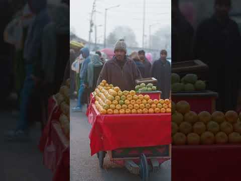 A Piece of Paradise: My Kashmir Journey with Chumbak! 🍎🦌 #KashmirStory