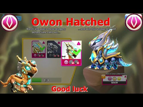 Hatched Owon Dragon-Dragon Mania Legends | Origin of Energy Solo Event | DML