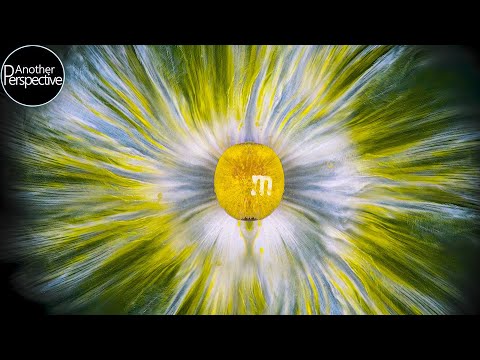 Macro M&M's Dissolving