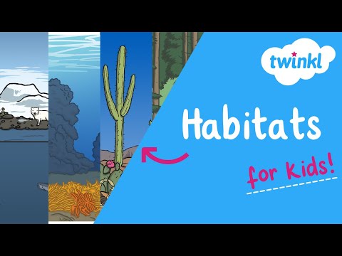 Habitats for Kids | Types of Habitat | Twinkl USA