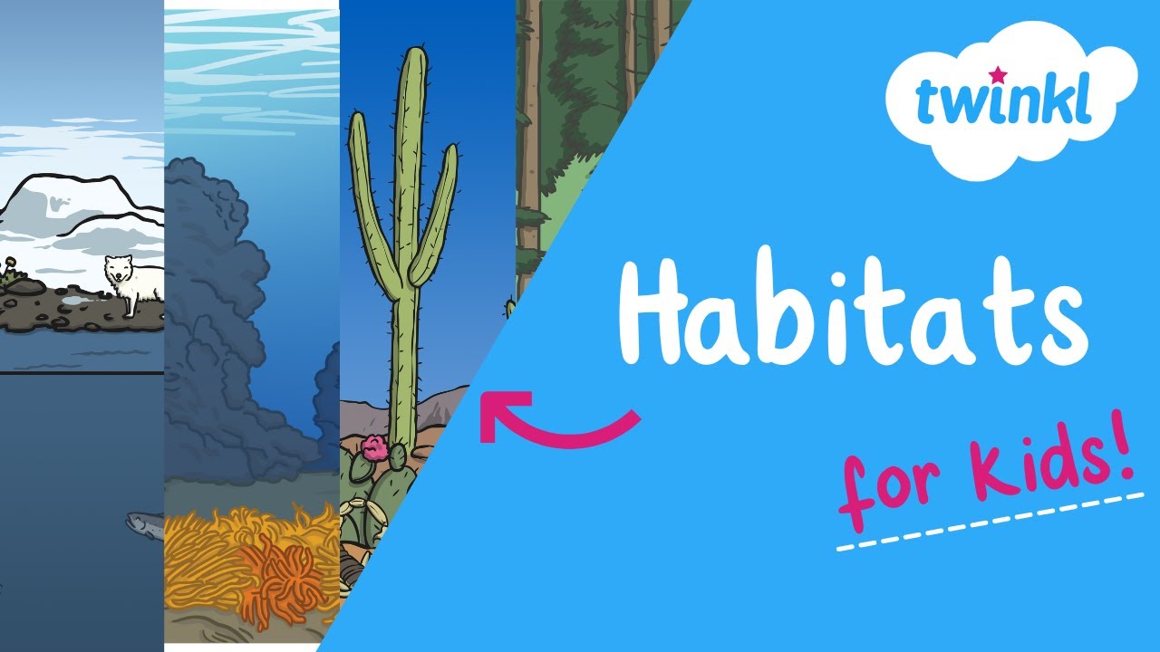 Habitats for Kids | Types of Habitat | Twinkl USA