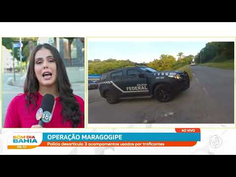 Operação em Maragogipe: Polícia desarticula 3 acampamentos usados por traficantes