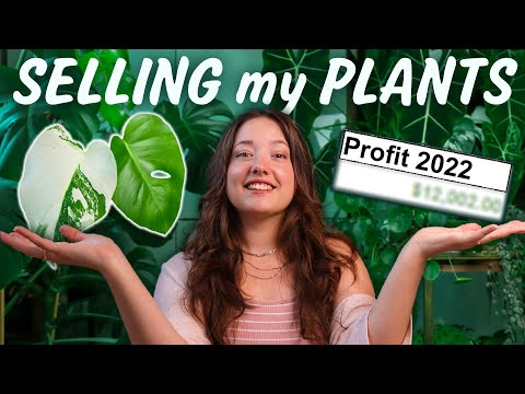 How I make Money selling Houseplants | Sales & Profit Analysis