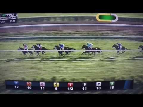 COOLMORE JENNY WILEY S. G1 STAKES -DICKINSON!!!