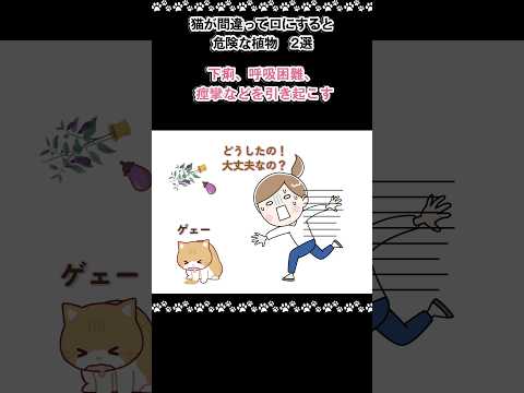 冬に鳥に与えてはいけない食べ物は何ですか？これら 7 つは絶対に避けるべきであり、命を奪う可能性があります。  庭園