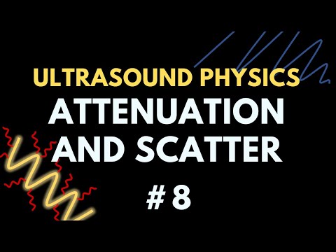 Ultrasound Scatter and Attenuation | Ultrasound Physics | Radiology Physics Course #8