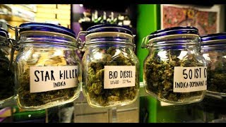 Fewer Kids Using Weed After Legalization In Colorado