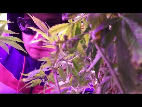 download lagu mp3 mp4 Join Me Slow, download lagu Join Me Slow gratis, unduh video klip Join Me Slow