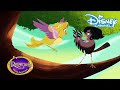 Rapunzel: De Serie | Vliegen | Disney Channel NL