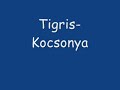 Kocsonya