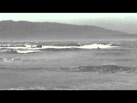 Bellingham Bay Surf Report 03.13.2016