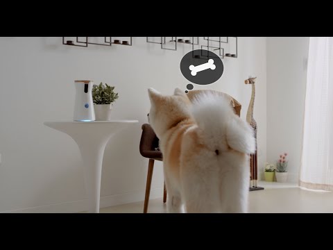 Furbo - smartest pet camera