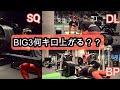 【筋トレ】減量終わりのフィジーク選手はBIG3何キロ上げられる？？