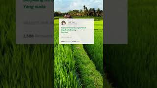 Download lagu TERLAMBAT SUDAH (Panbers) Cover StoryWa #HMH mp3