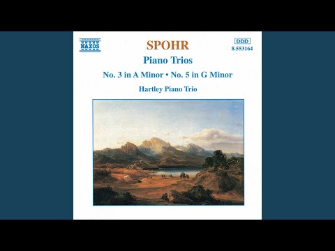 Piano Trio No. 5 in G Minor, Op. 142: IV. Finale: Allegro molto