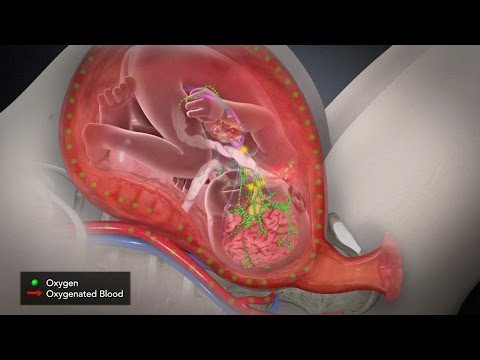Variable Decelerations