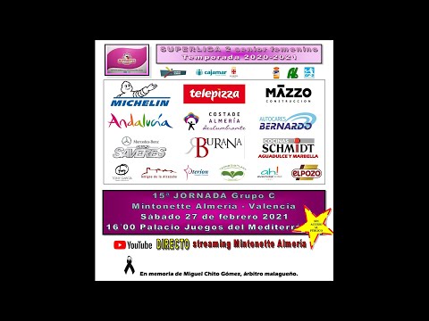 SUPERLIGA FEMENINA 2. JORNADA 15. MINTONETTE ALMERIA - LELEMAN VALENCIA
