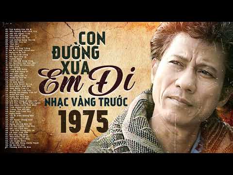 Con Đường Xưa Em Đi (Nhạc Vàng Trước 1975) - Chế Linh & Thanh Tuyền & Thanh Tâm & Hương Lan