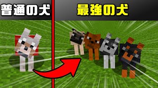 【マイクラ】自分だけの最強のペットを育てられる神MOD