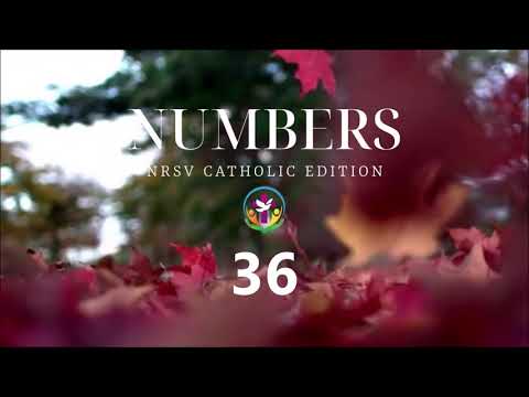 Numbers 36 | English Audio Bible | AFCM | NRSV Catholic Edition