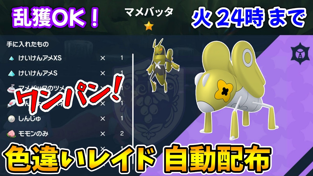 乱獲OK！マメバッタ色違いレイド自動配布会！【ポケモンSV】